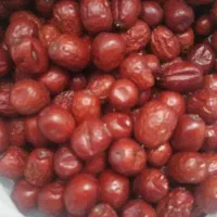 عناب