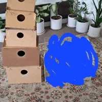 قفس ولانه پرنده