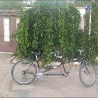دوچرخه ۲نفره دنده ای