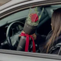 دریافت ۵۰۰هزار تومان رایگان