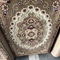 ۲ جفت پشتی