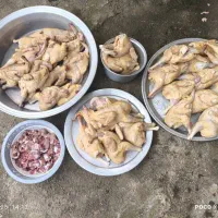 نیمچه گلپایگان|حیوانات مزرعه|اطاقور, |دیوار