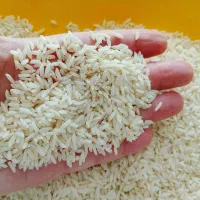 برنج|خوردنی و آشامیدنی|کرج, کوی کارمندان جنوبی|دیوار