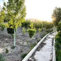 زمین-باغ-2800متر-فاز-یک-سیاخ-دارنگون-سیخ