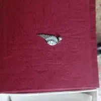 انگشتر نقره|بدلیجات|ماهدشت, |دیوار