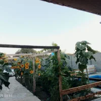 باغ ویلا ۳۶۰متری (ملکی)معاوضه.نزدیک به مرکزشهر|فروش خانه و ویلا|مشهد, کوشک مهدی|دیوار