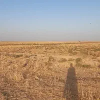 زمین کشاورزی جهت مشارکت و اجاره