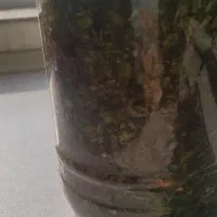 ترشی بادمجون تازه|خوردنی و آشامیدنی|نوشهر, |دیوار