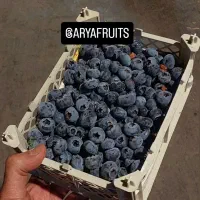 بلوبری گلخانه و فضای باز به نرخ غرفه