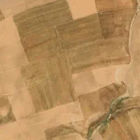 زمین دیم کشاورزی