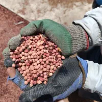 هسته البالو|عمده‌فروشی|تهران, شهرک ولیعصر جنوبی|دیوار