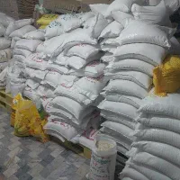 فروش عمده برنج شمال قیمت رقابتی