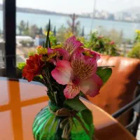 استخدام منشی مطب