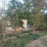 فروش باغ در بافت شهری|فروش خانه و ویلا|اصفهان, بوستان ناژوان|دیوار
