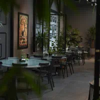 سالندار و ویتر