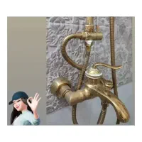 جرمگیر شیرآلات