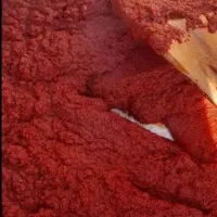 رب گوجه فرنگی اعلا برزند