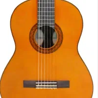 گیتار c40
