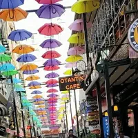 بدون پیش پرداخت تور شاد وان ترکیه فستیوال رنگها|تور و چارتر|مشهد, صیاد شیرازی|دیوار