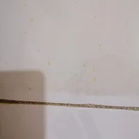 جرم گیر ولکه بربسیار قوی وبه صرفه