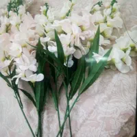 8 شاخه گل شب بو