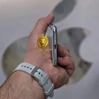 آیفون X حافظه ی 256 گیگ باتری 100 تکسیم بشرط سلامت|موبایل|رشت, چله خانه|دیوار