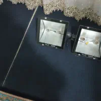 نور افکن لامپی|لامپ و چراغ|قم, عمار یاسر|دیوار