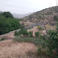 سه قطعه زمین ارنگه