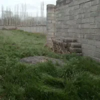 زمین کشاورزی در روستای پیر موسی