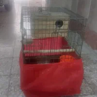 قفس پرنده با لانه