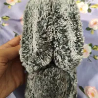 کاور گوشی Redmi not 8 pro