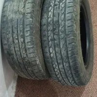 لاستیک پژوویی در حد