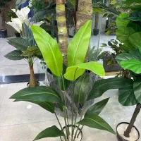 انواع درختچه