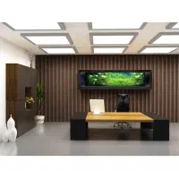 استخدا خانم برای همکاری در شرکت