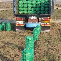 تک آمیکو باری|خودرو سنگین|فسا, |دیوار