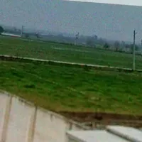 کارگر (شیفت مَن)در کارخانه جوجه کشی بوقلمون