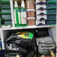 لوازم پرنده طوطی عروس قناری مرغ عشق|لوازم جانبی حیوانات|شیراز, شهرک گلستان|دیوار