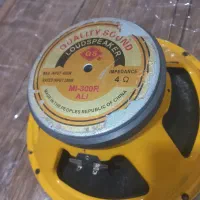 میدرنج دهنه ۱۲ فروشی یک عدد