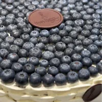 کارگر ساده خدمات در کارگاه قنادی