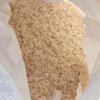 فروش فوری برنج طارم خالص اصل درجه یک