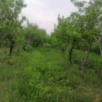 باغ فوشنجان