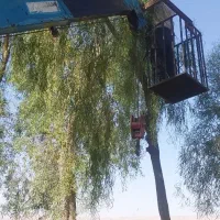 جرثقیل نیسان جهرم|خدمات حمل و نقل|جهرم, |دیوار