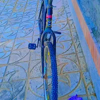 دوچرخه|دوچرخه، اسکیت، اسکوتر|اسدآباد, |دیوار