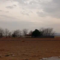 فروش زمین کشاورزی در بیضا|فروش زمین و ملک کلنگی|بیضا, |دیوار