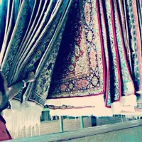 کارخانه مجاز قالی شویی و مبل شویی شاهان