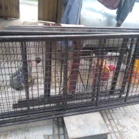 تخت فلزی دوطبقه