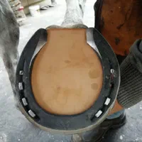 نعلبندی ، قیار ، نعل بندی طبی اسب|اسب و تجهیزات اسب‌سواری|تهران, تهرانسر شرقی|دیوار