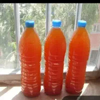 ابغوره اصل اصل به شرط امتحان