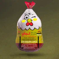 استخدام نیروی فنی