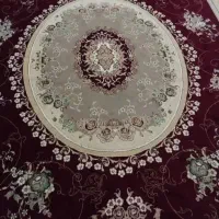 قالی ۱۲ متری زرشکی